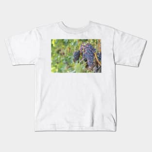 Okanagan Vineyard Red Wine Grapes Kids T-Shirt